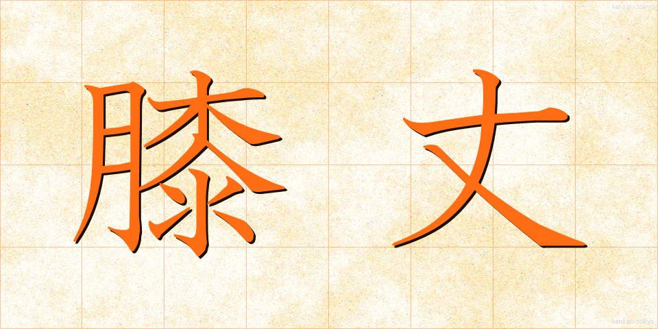 膝丈 (ひざたけ)