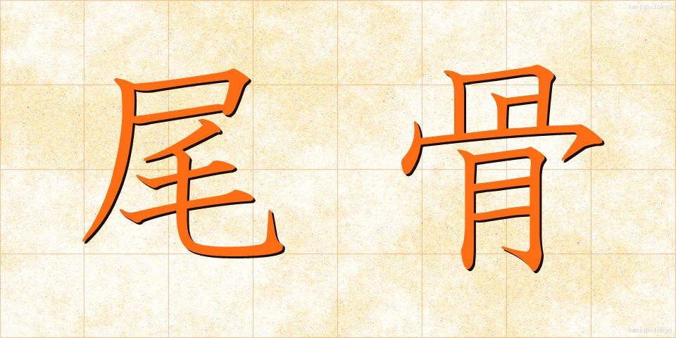 尾骨 (びこつ)