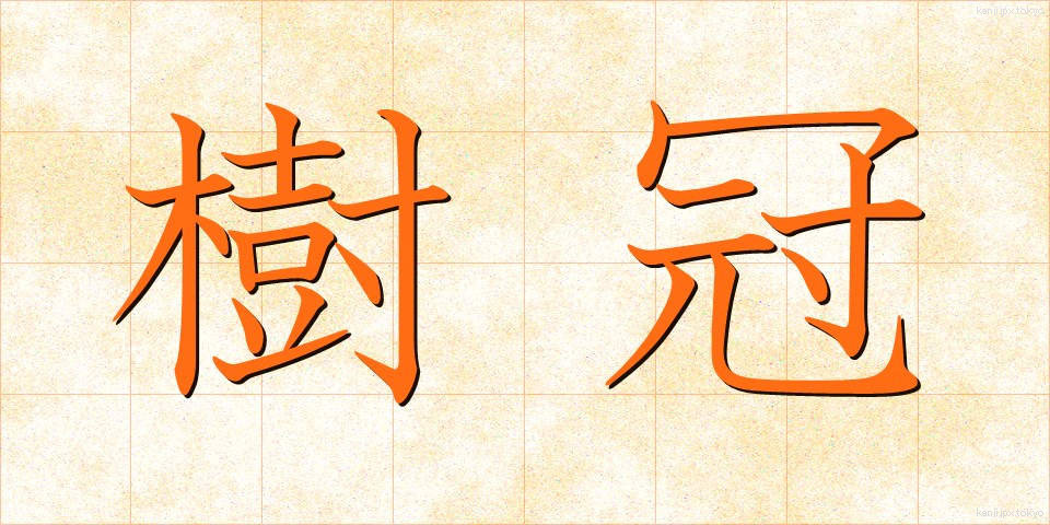 樹冠 (じゅかん)