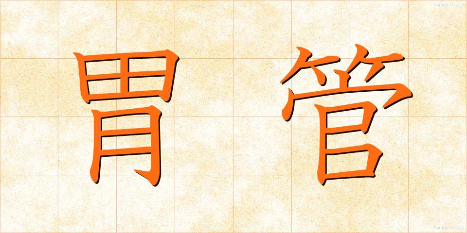 胃管 (いかん)