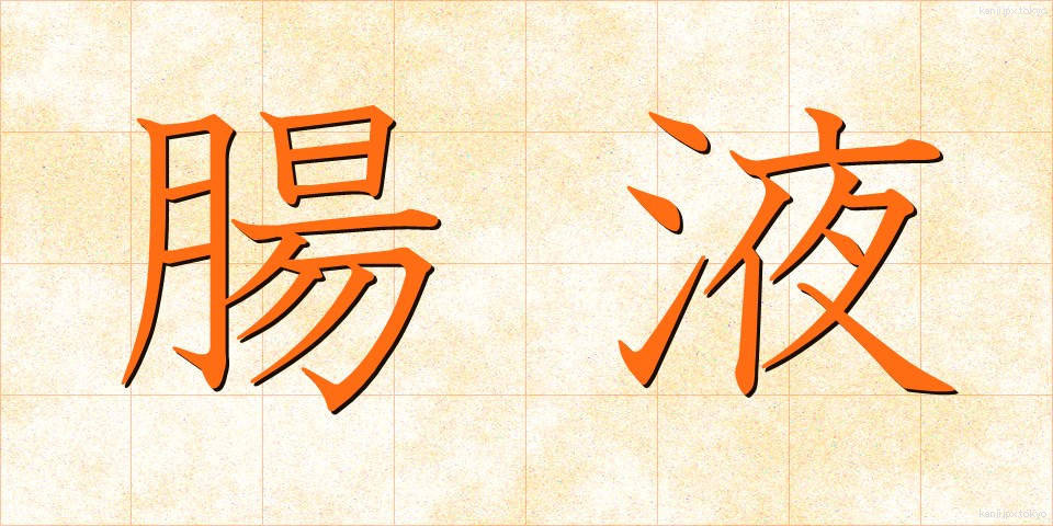 腸液 (ちょうえき)