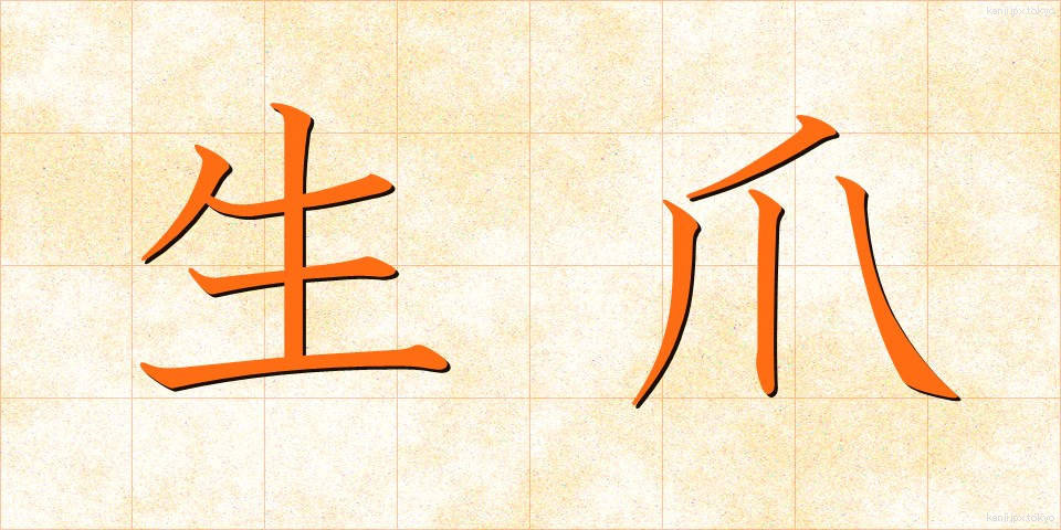 生爪 (なまづめ)