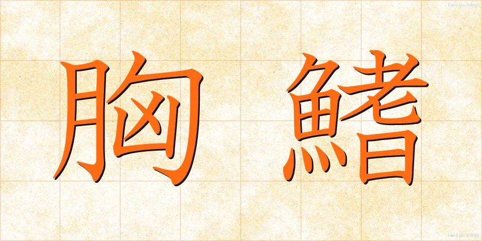 胸鰭 (きょうき)