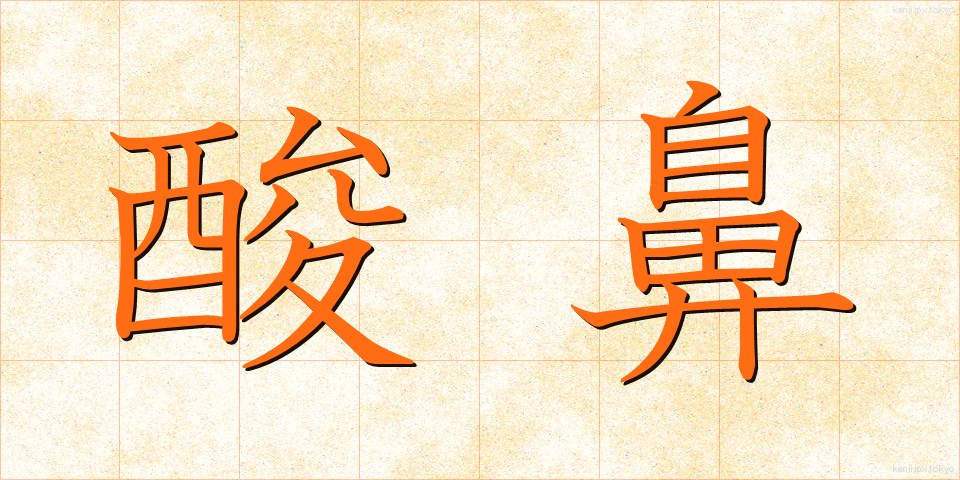 酸鼻 (さんび)