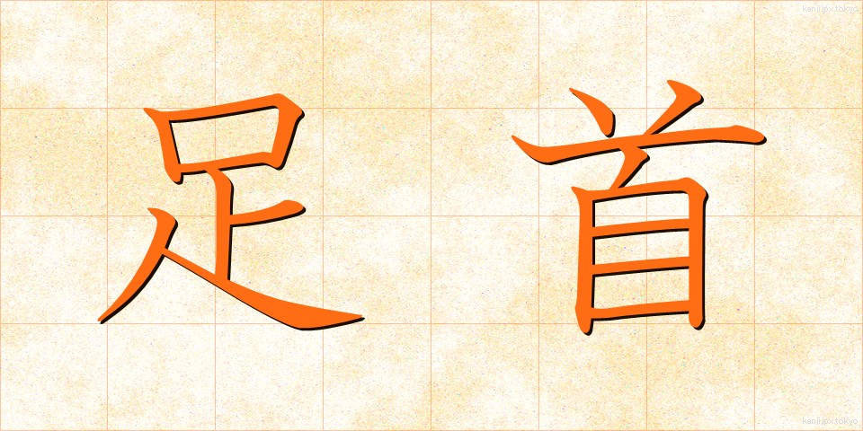 足首 (あしくび)