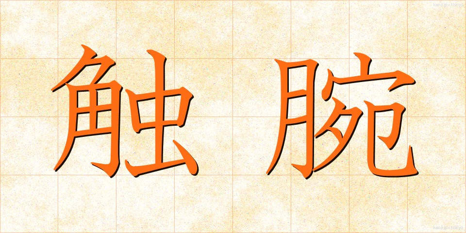 触腕 (しょくわん)
