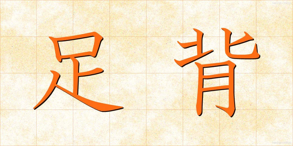 足背 (そくはい)