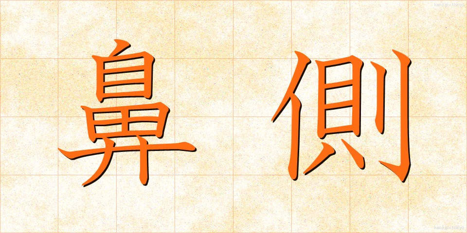 鼻側 (びそく)