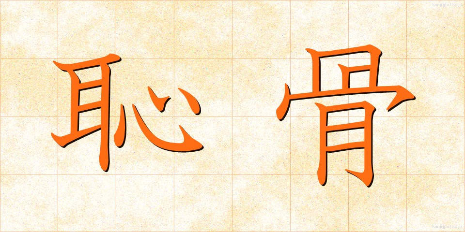恥骨 (ちこつ)