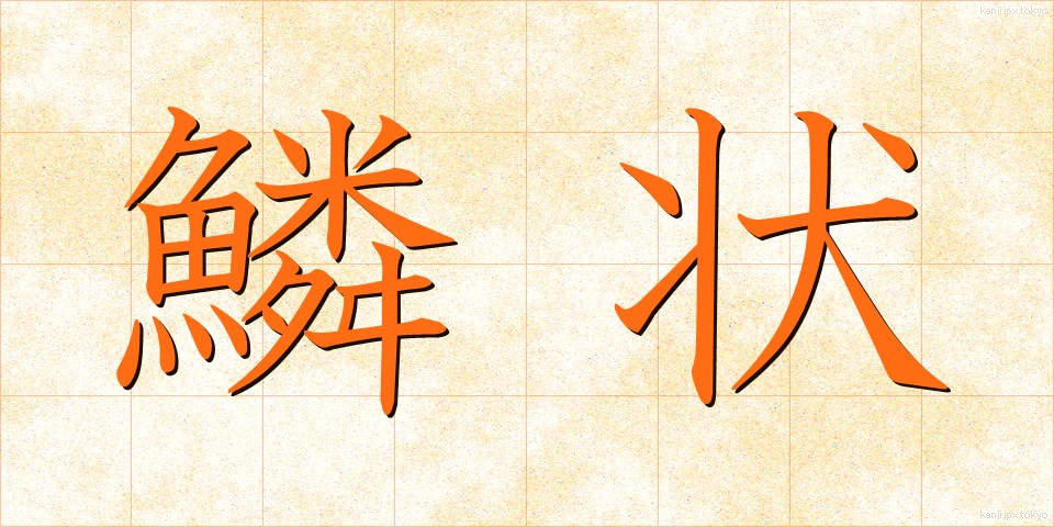 鱗状 (りんじょう)