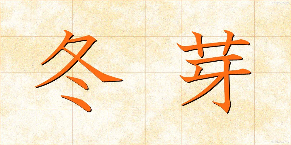 冬芽 (とうが)