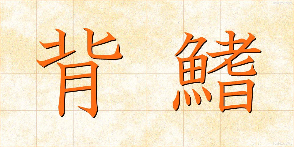 背鰭 (せびれ)