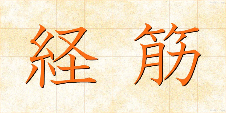経筋 (けいきん)