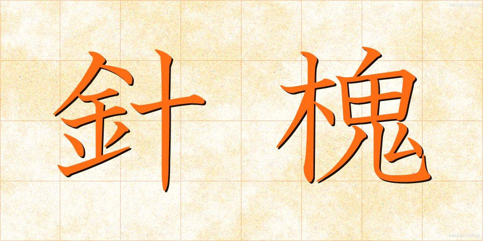 針槐 (はりえんじゅ)
