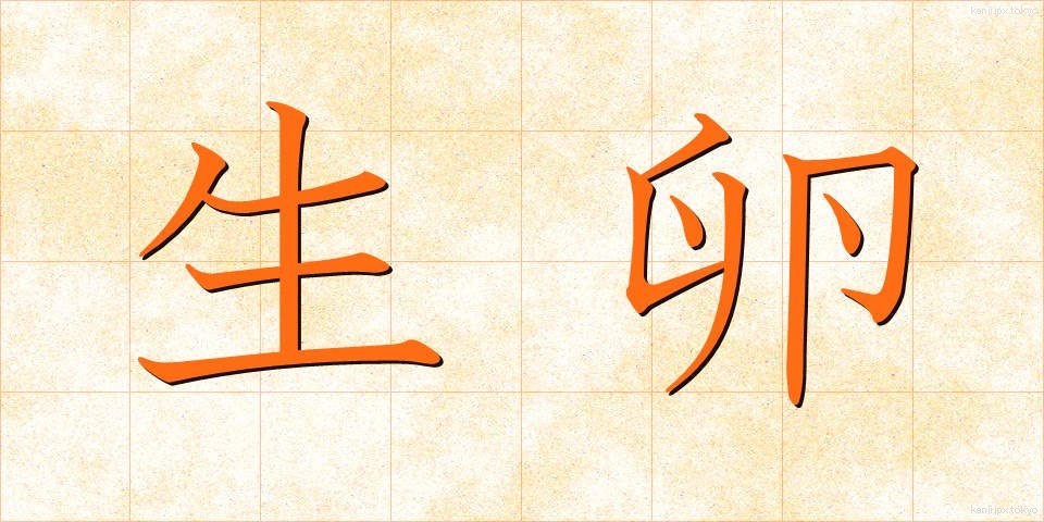 生卵 (なまたまご)