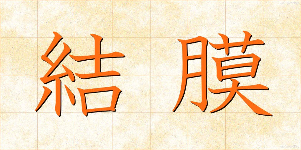 結膜 (けつまく)