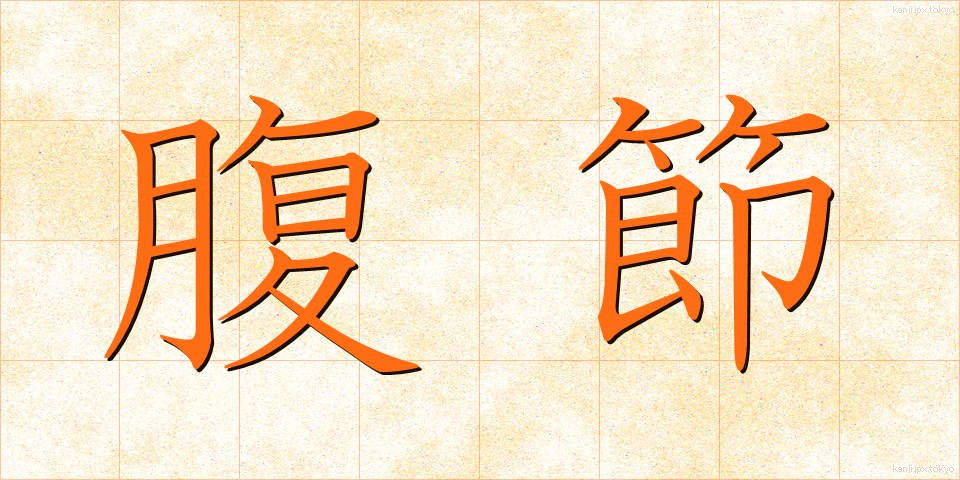 腹節 (ふくせつ)