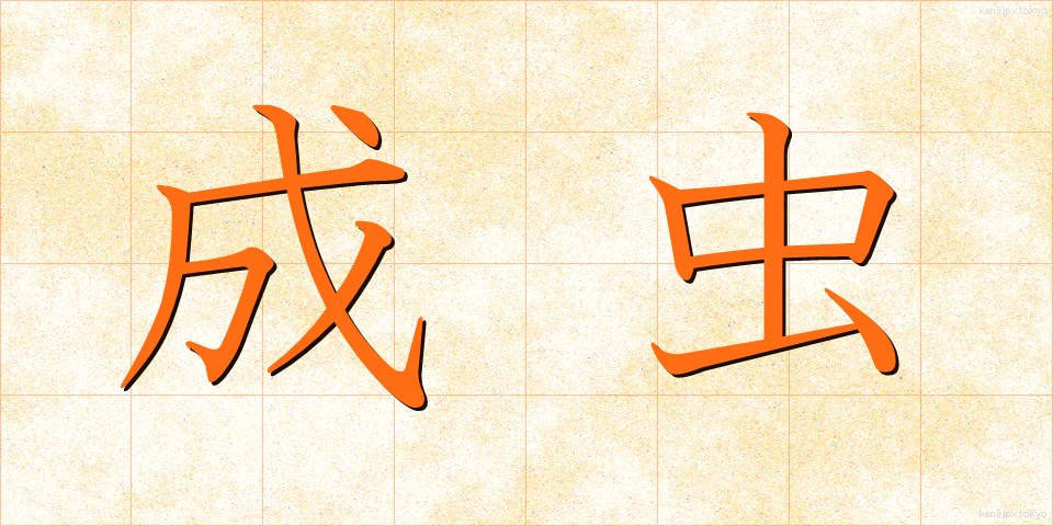 成虫 (せいちゅう)