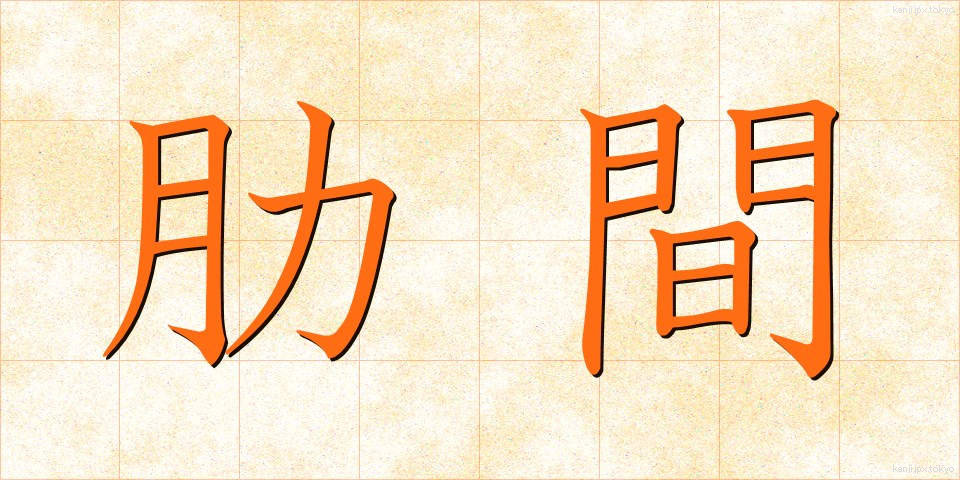 肋間 (ろっかん)