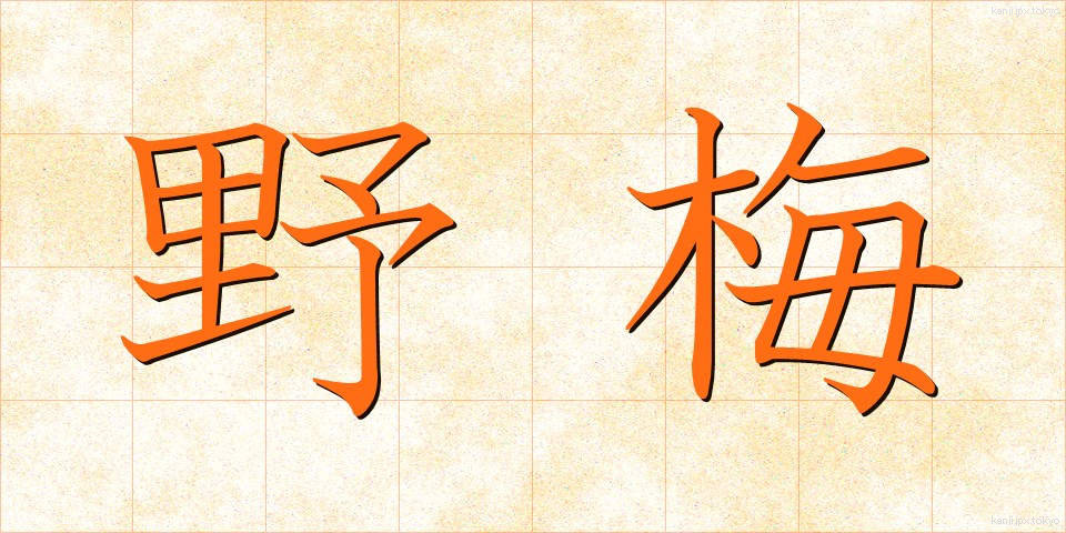野梅 (のうめ)