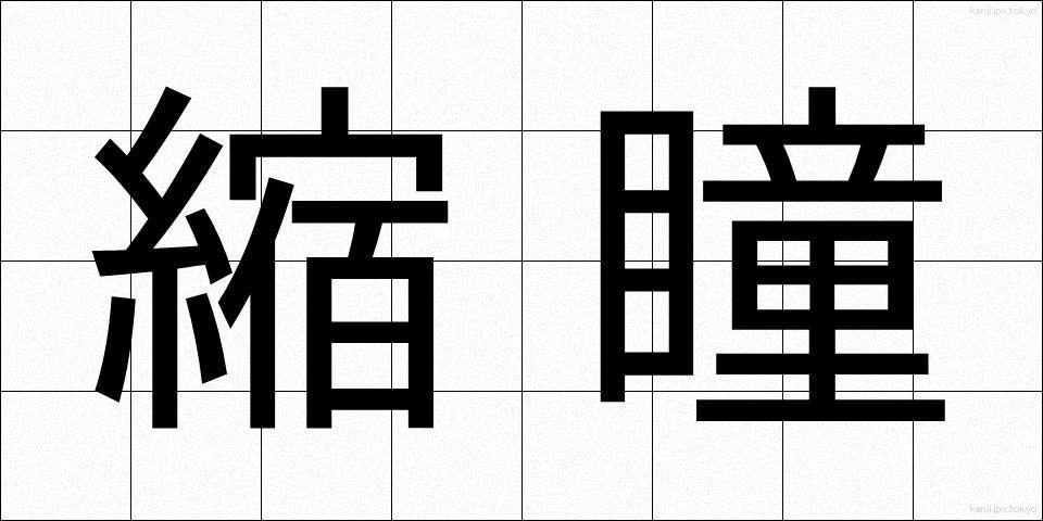 縮瞳 (しゅくどう)