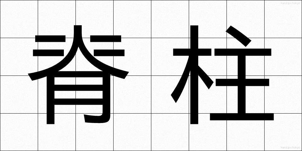 脊柱 (せきちゅう)