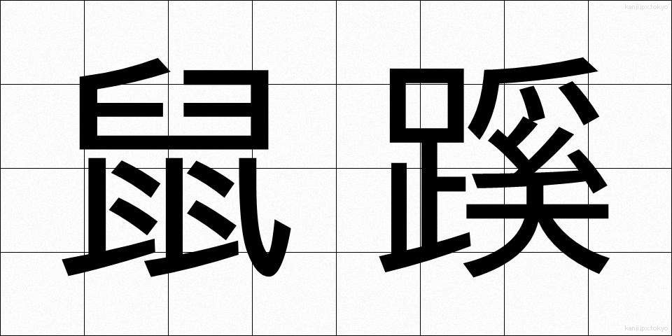 鼠蹊 (そけい)