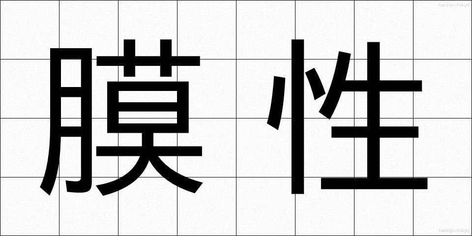 膜性 (まくせい)