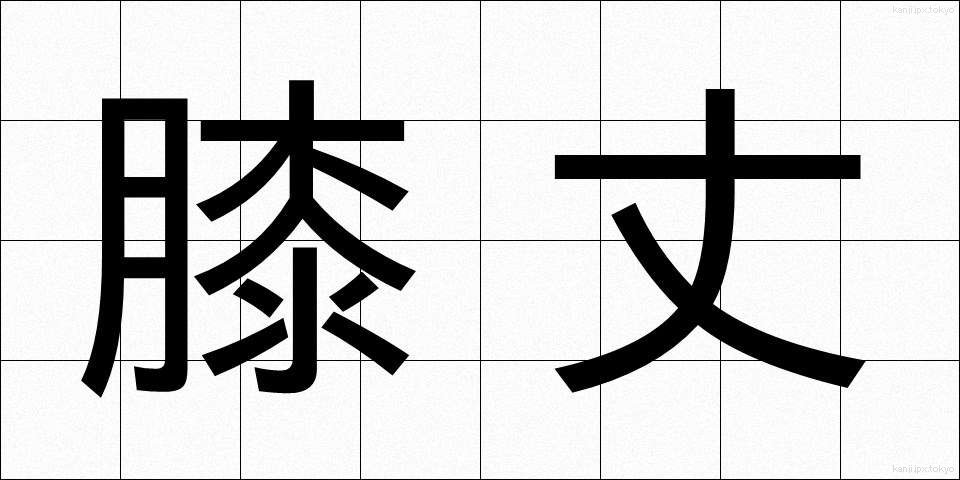膝丈 (ひざたけ)