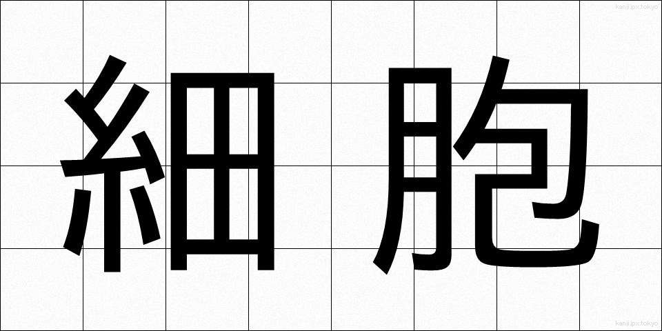 細胞 (さいぼう)
