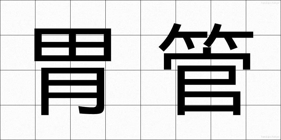 胃管 (いかん)