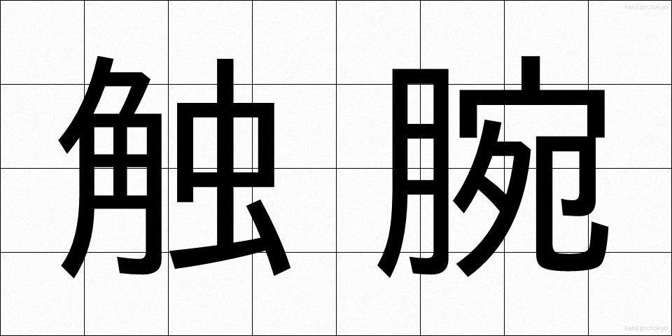 触腕 (しょくわん)