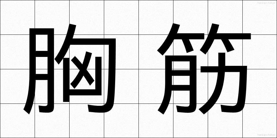 胸筋 (きょうきん)