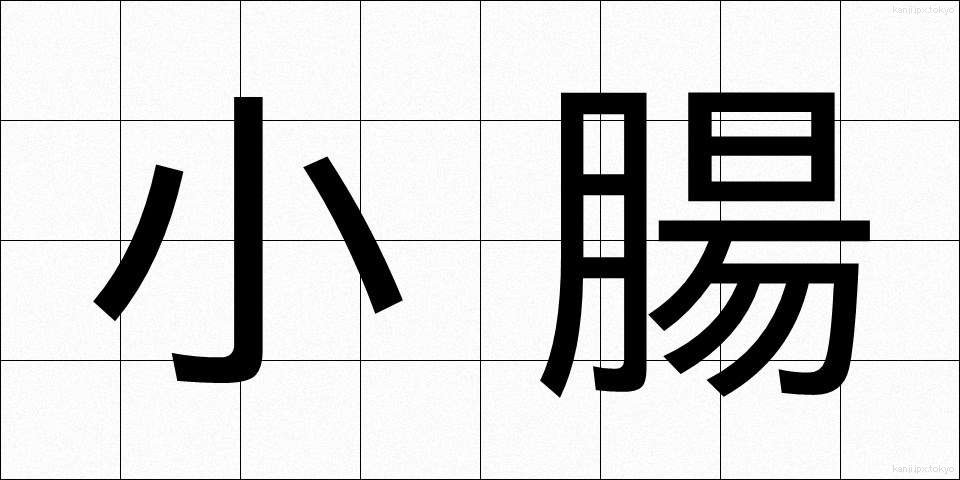 小腸 (しょうちょう)