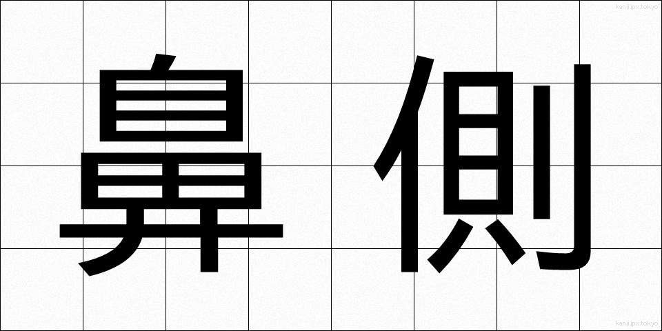 鼻側 (びそく)