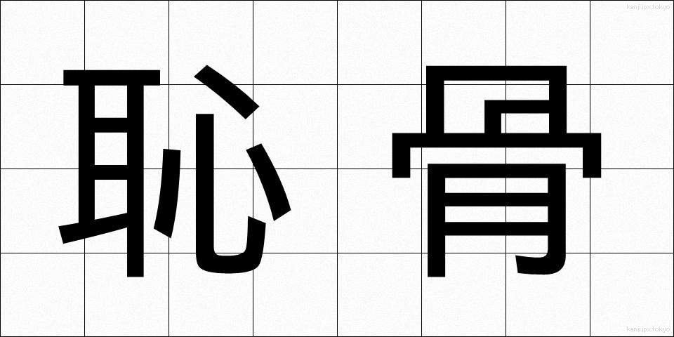 恥骨 (ちこつ)