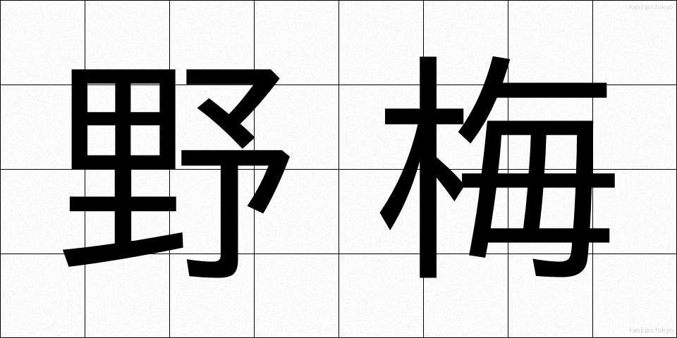 野梅 (のうめ)