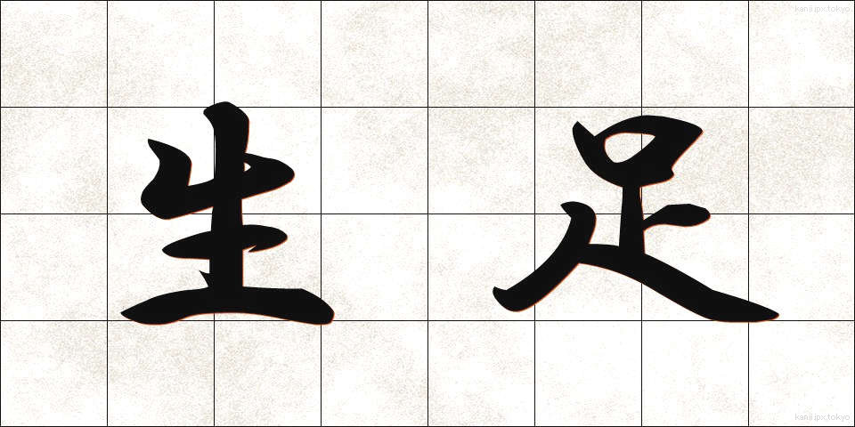 生足 (なまあし)