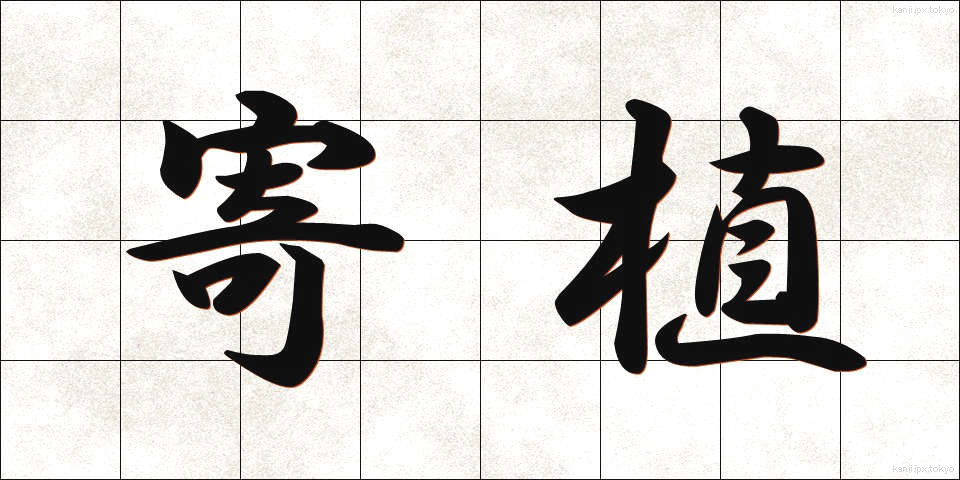 寄植 (よりうえ)