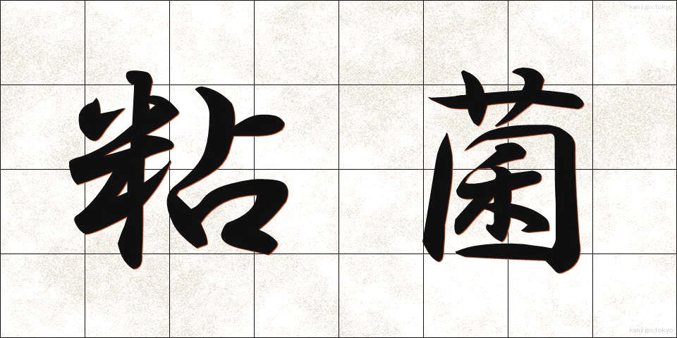 粘菌 (ねんきん)
