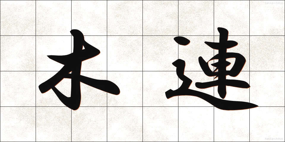 木連 (もくれん)