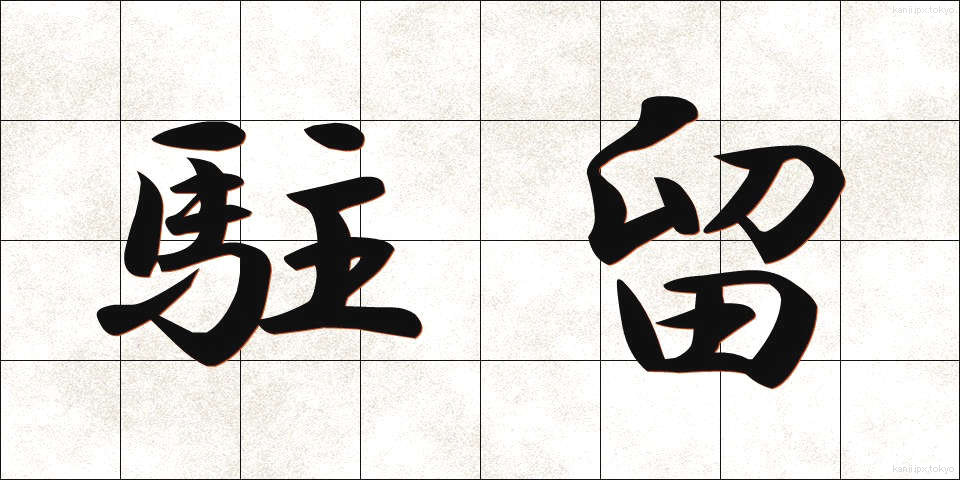 駐留 (ちゅうりゅう)