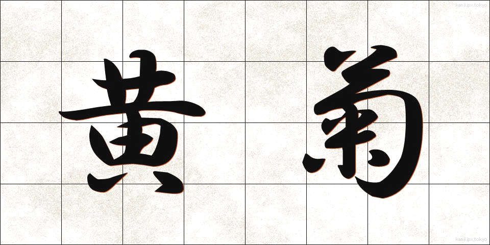 黄菊 (きぎく)