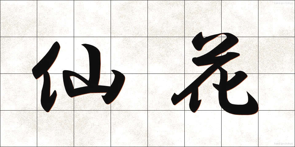 仙花 (せんか)