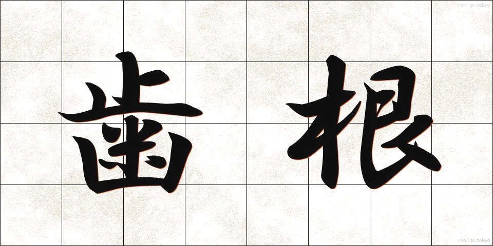 歯根 (しこん)