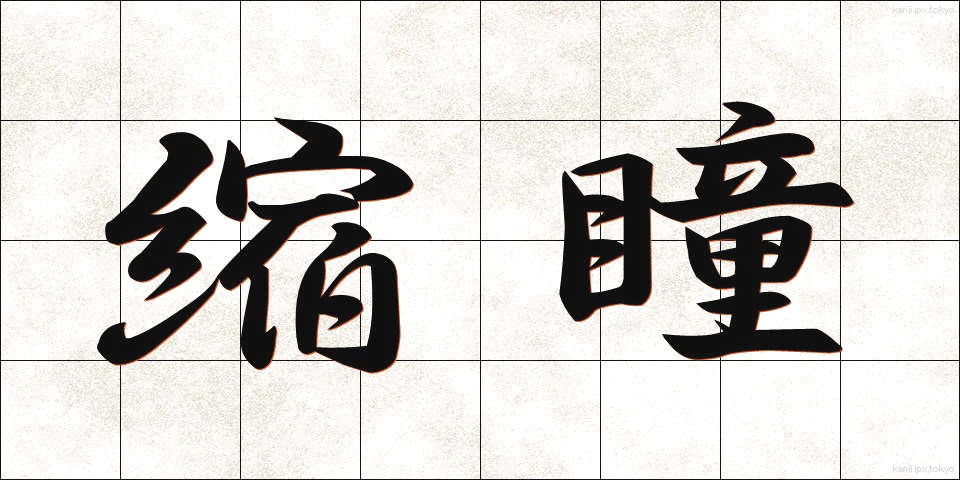 縮瞳 (しゅくどう)