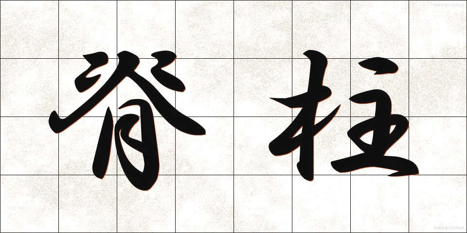 脊柱 (せきちゅう)