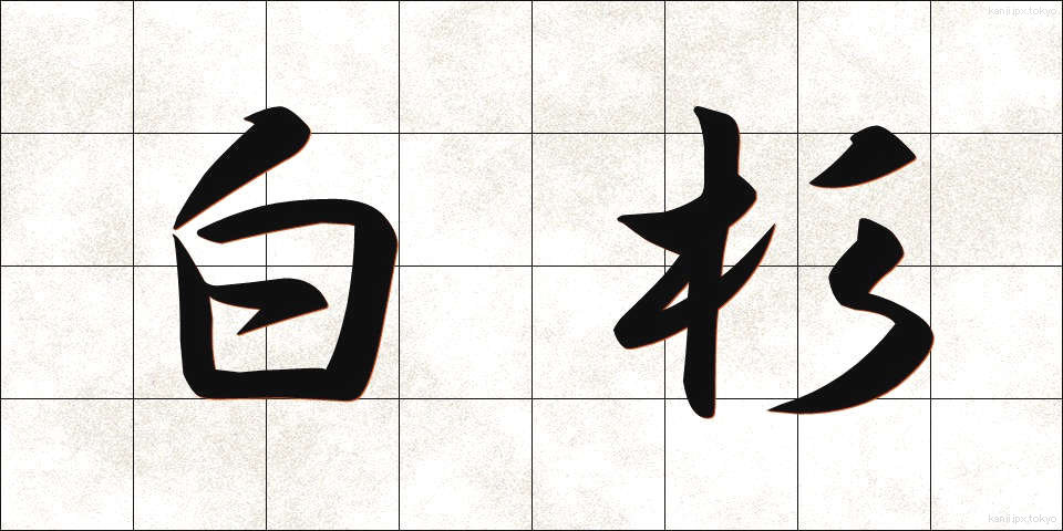 白杉 (しらすぎ)