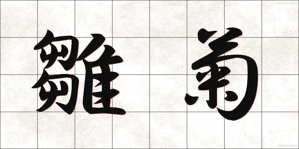 雛菊 (ひなぎく)