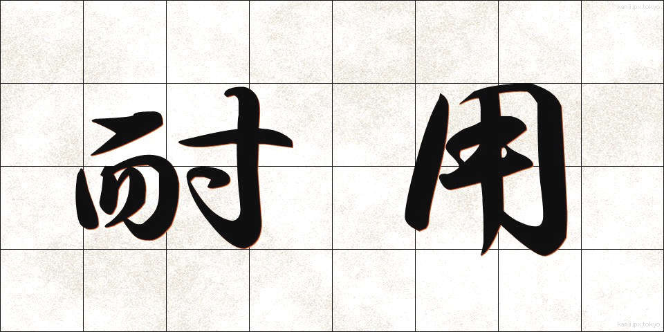 耐用 (たいよう)